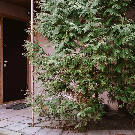 Private Classical In Trendy Uptown Area Вільнюс
